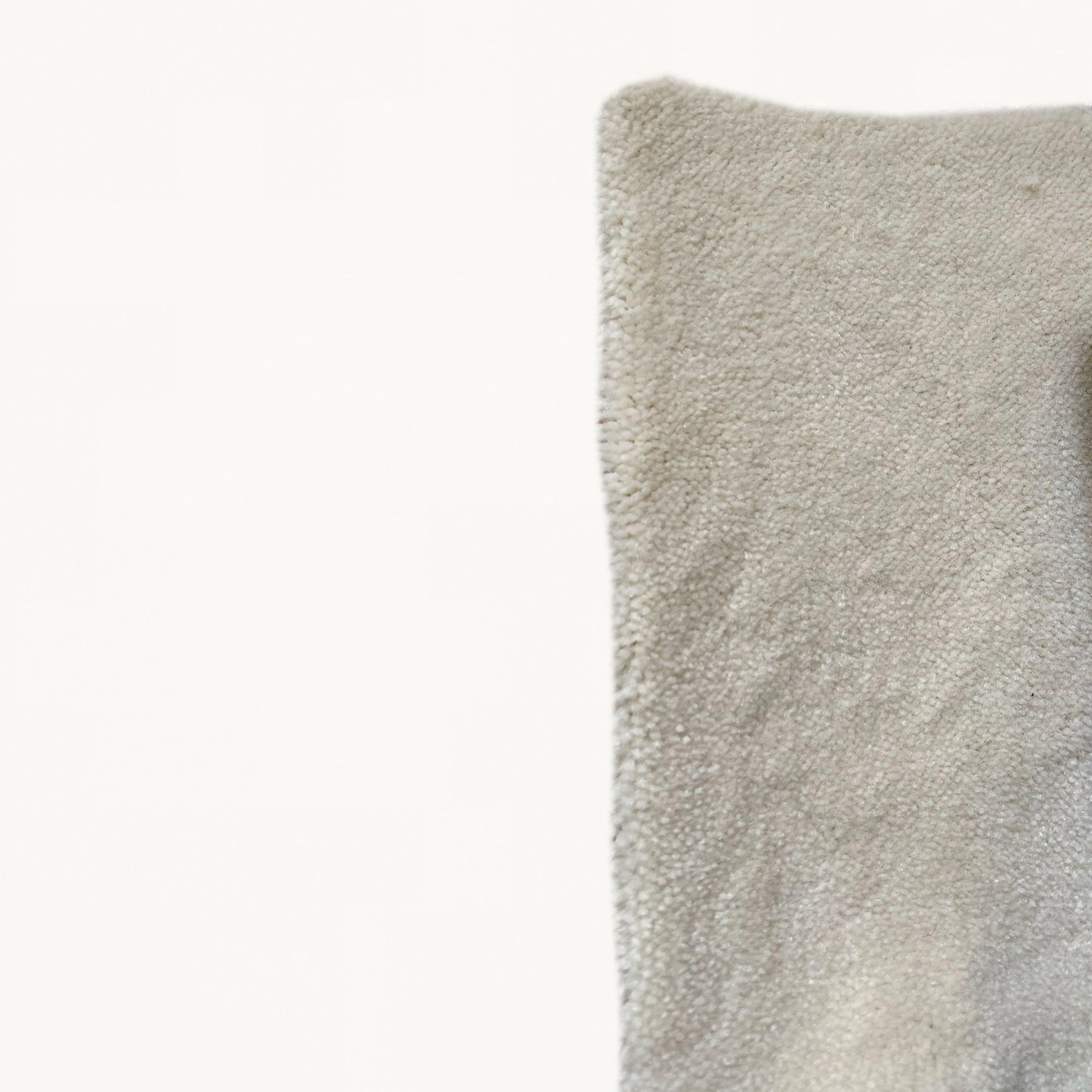 FL021PI / SEASHELL CARPET