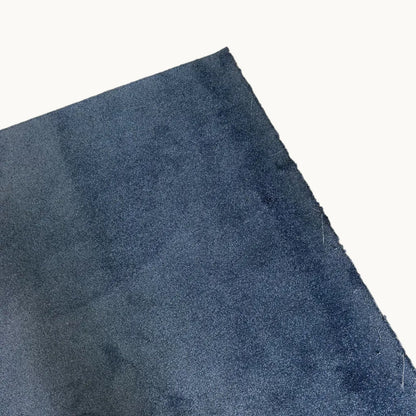 FL045PI / NAVY CARPET
